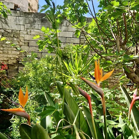 アパート Capucines, Un Jardin Secret Dans Le Centre Historique *